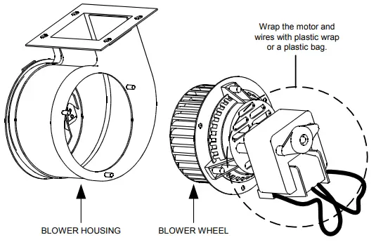 Cleaning and Adjusting