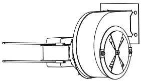 Cleaning and Adjusting