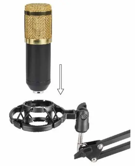 SARINA PODCAST V8 Sound Card User Guide - Mount the microhome on the stand