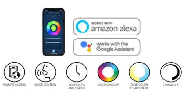 KING-PL-D6-C12-Type-IC-6-Inch-Slim-Round-LED-FIG-2