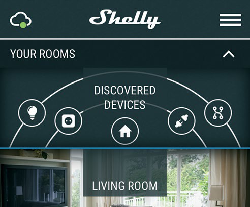 Shelly Motion Sensor WiFi Detector - Discovered Devices
