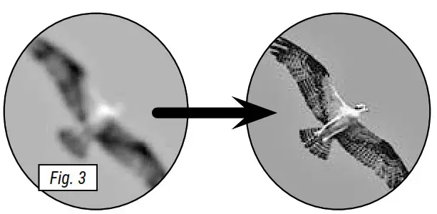 BRESSER Condor Binoculars - PORRO 4