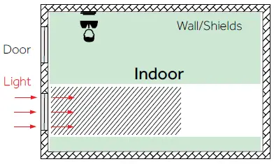 Sunlight shines through