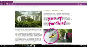 Microsoft Edge Interface