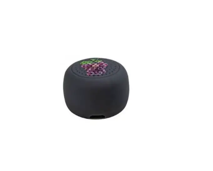 Shenzhen Kingstar Industrial 161733 Mini Speaker User Guide