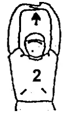 WARMING UP BEFORE USE