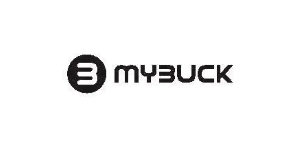 Mybuck Jbh09 True Wireless Stereo Headset User Manual