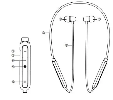 UiiSii Miss Bean Neckband Bluetooth Earphone User Guide - Product Information