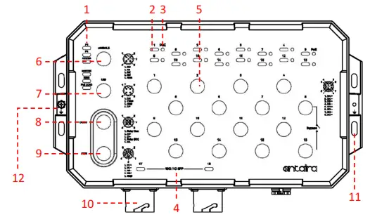 antaira LMP-1802G-M12-10G-SFP-67-110 18-Port Industrial M12 IP67 Waterproof Gigabit PoE+ Light - Fig