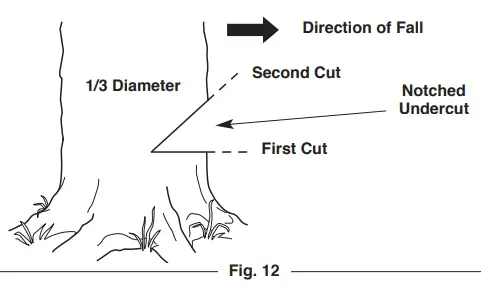 TROY-BILT TB4620C XP 20 Gas Chainsaw - Fig 15