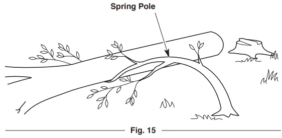 TROY-BILT TB4620C XP 20 Gas Chainsaw - Fig 18