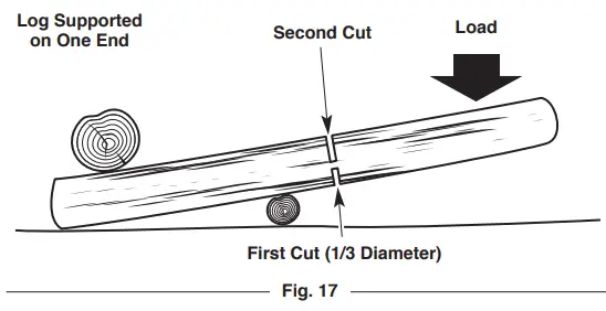 TROY-BILT TB4620C XP 20 Gas Chainsaw - Fig 20