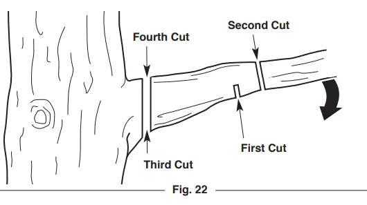 TROY-BILT TB4620C XP 20 Gas Chainsaw - Fig 25