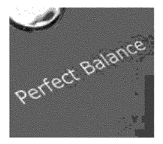 Electrolux-EIFLW55HIW-Front-Load-Washer-FIG3