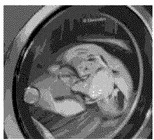 Electrolux-EIFLW55HIW-Front-Load-Washer-FIG4