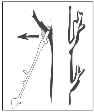 PARKSIDE PBK 4 B3 4 In 1 Petrol Multi Tool - icon 27