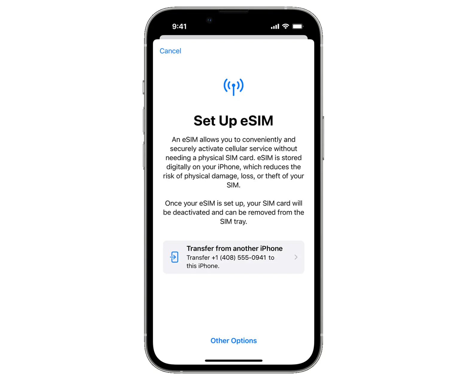 About Esim On Iphone