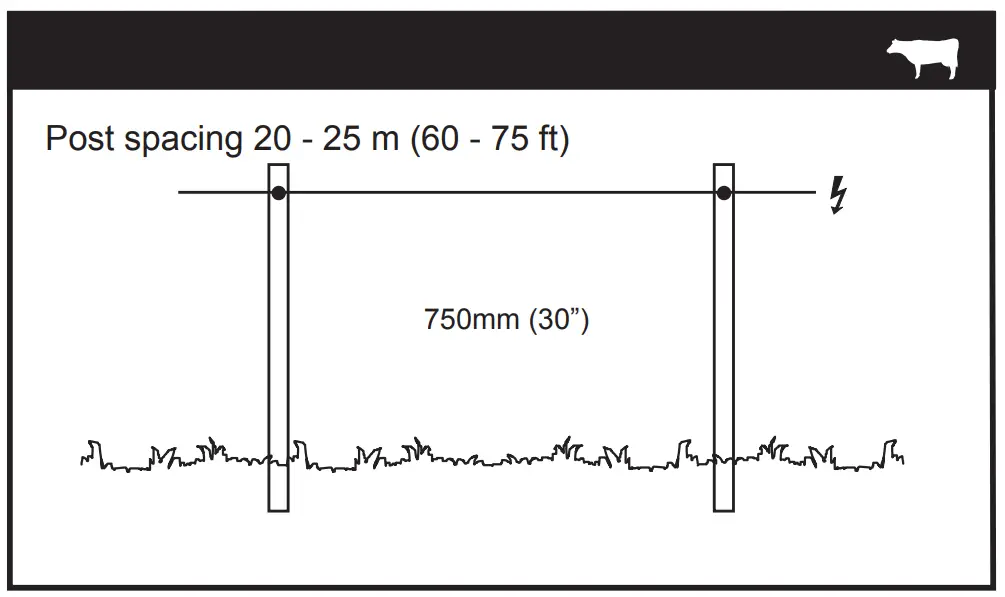 Dairy Cows/ Beef Cattle