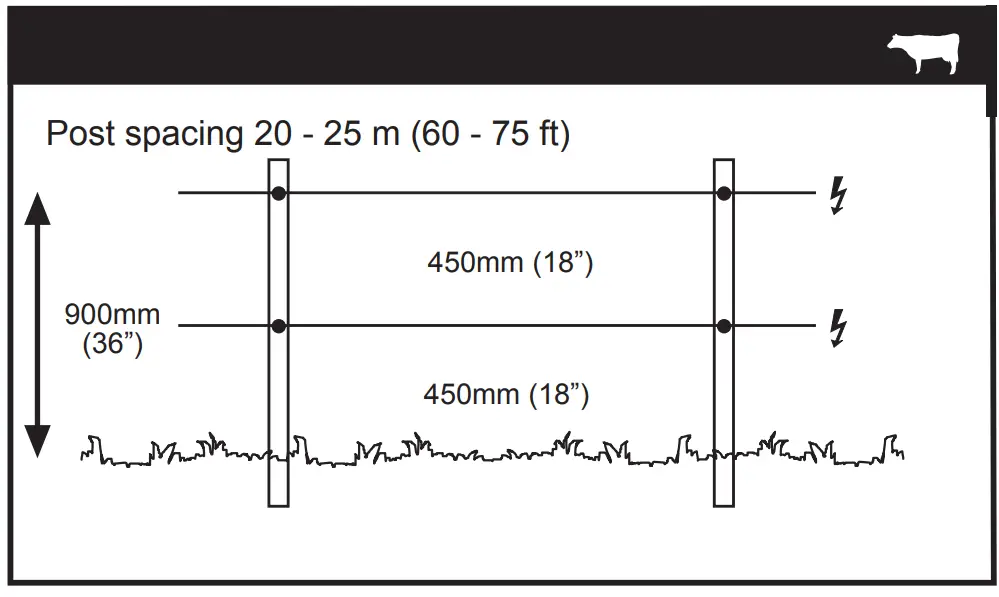 Dairy Cows/ Beef Cattle