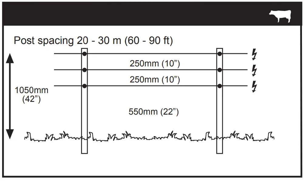 Dairy Cows/ Beef Cattle