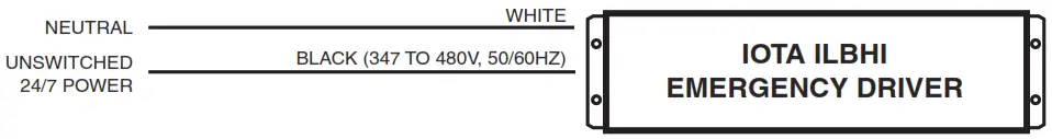 IOTA ILBHI CP HE SD HV Emergency LED Driver - WIRING THE AC INPUT