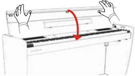 Dexibell VIVO H5 BK Digital Piano - Figure 3