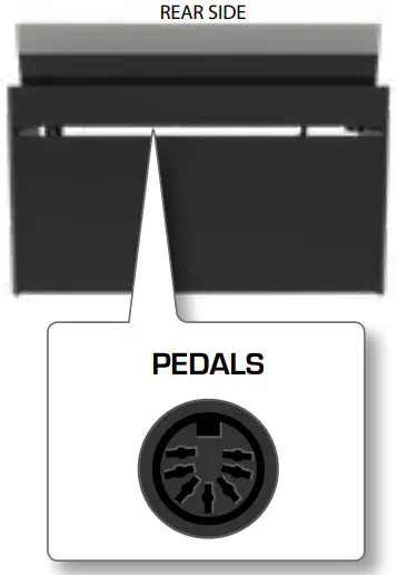 Dexibell VIVO H5 BK Digital Piano - PEDALS