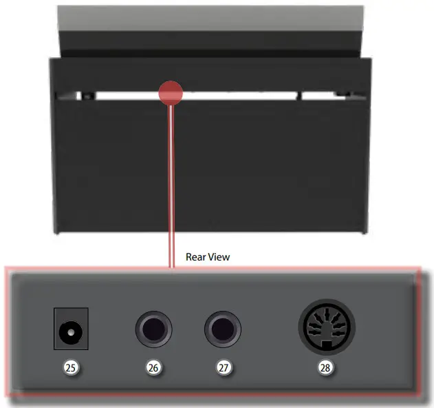 Dexibell VIVO H5 BK Digital Piano - Rear Side