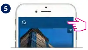 Installation in Online mode