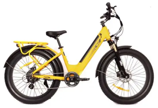 CSC FT750ST Electric Bicycles