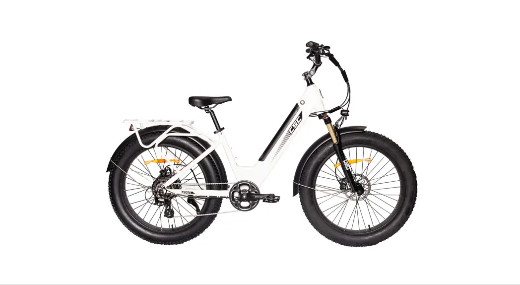 Csc Ft750st Electric Bicycles Instruction Manual Csc Ft750st Electric Bicycles Instruction Manual