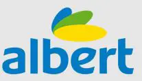 ALBERT-logo