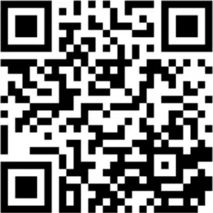 VIVO QR Code