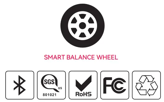 SISIGAD B01B Electric Self Balancing Hoverboard - fig