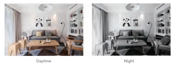 Near Pan - Tilt Smart Outdoor Camera-FIG-10