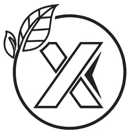 SCX Design W13 32486 Maple Wood 10W Wireless Charger -