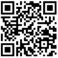 EXXENTRIC KPGAS kPulley Go Device - qr1