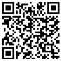 EXXENTRIC KPGAS kPulley Go Device - qr2