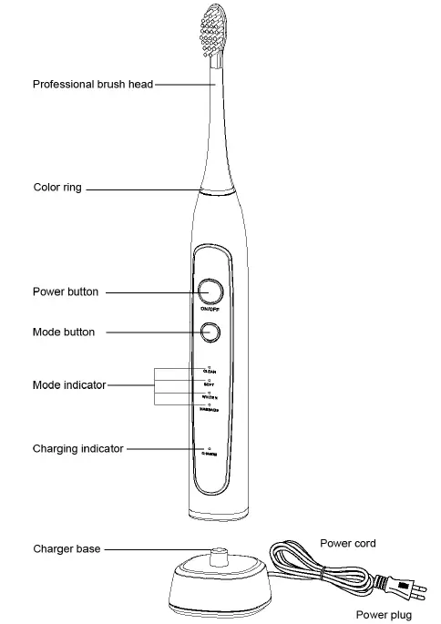 ARDESTO-ETB-113W-Electric-Toothbr