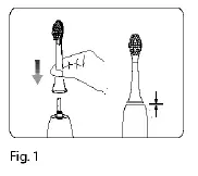 ARDESTO-ETB-113W-Electric-Toothbrush-Instruction-Manual-fig-3