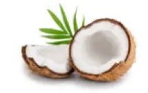 Coconut