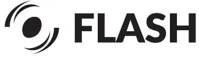 Flash logo