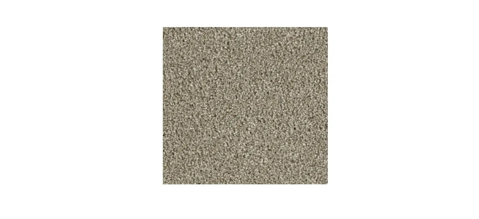 Stainmaster S9255-911-s Lenox Park Walking Trail Textured Indoor Carpet Instruction Manual Stainmaster S9255-911-s Lenox Park Walking Trail Textured Indoor Carpet Instruction Manual