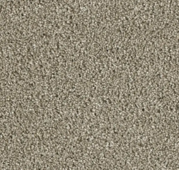 STAINMASTER S9255-911-S Lenox Park Walking Trail Textured Indoor Carpet