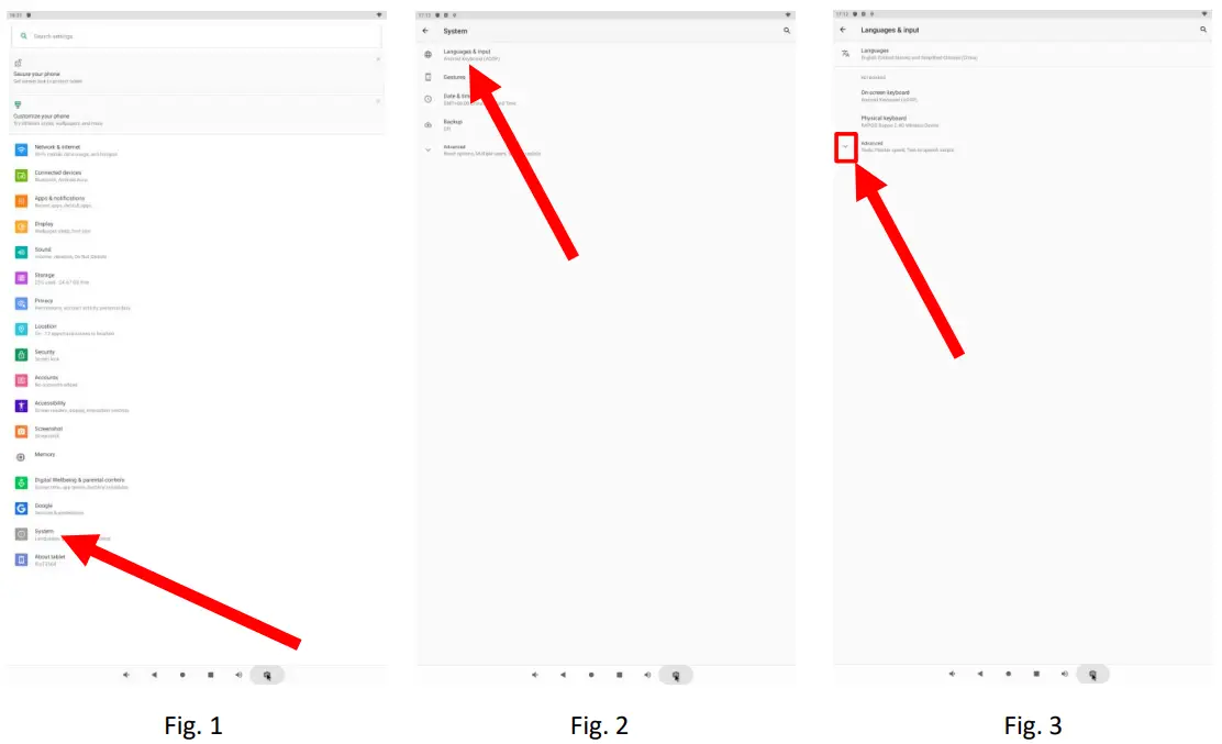 DISPLAYS2GO DF043NLB, DF043TLB 43 Inch Digital Signage - Choose System Language