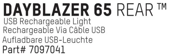FIG 8 DAYBLAZER 65 REAR