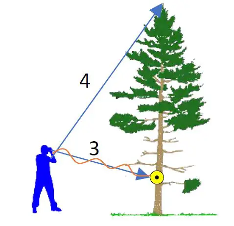 Haglof Vertex 5 Ultrasonic Hypsometer fig2