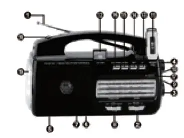 QFX-R-31U-AM-FM-and-SW-Band-Radio-1