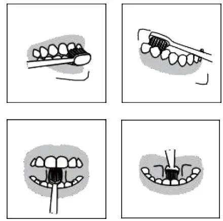 Shen-Zhen-Evowera-Technology-Planck-Mini-Smart-Toothbrush-fig-11