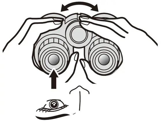 Nikon Monarch M5 8x42 Binoculars - Diopter adjustment 1